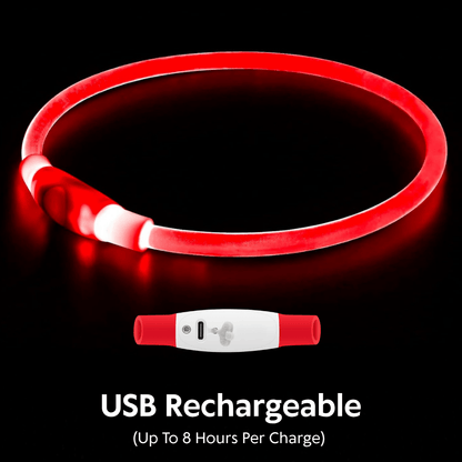 Light-Up Dog Collar